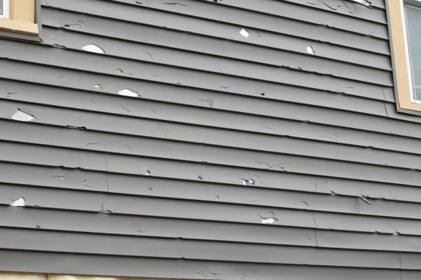 How To Choose The Right Materials for Your Siding Installation in 'Ewa Villages, HI